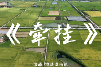 【澧县】牵挂