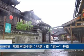 常德河街中医（非遗）街