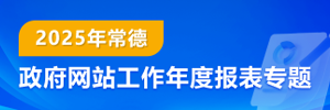 2025年十大彩票网赌平台政府网站工作年度报表专题