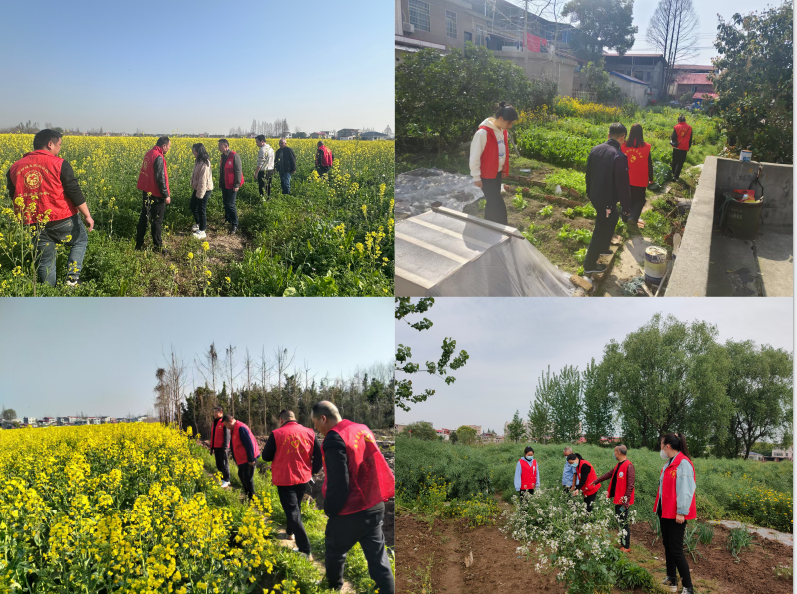 3150225_b984014e-6479-4e00-ab05-0cf0b4907b6f