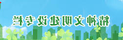 十大彩票网赌平台